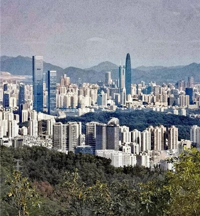 广州视姬化龙98场